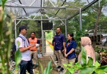 TTL Gandeng Kebun Raya Purwodadi Inisiasi Peningkatan Keanekaragaman Hayati di Kawasan Pelabuhan