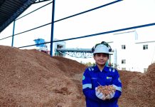 Produksi Energi Hijau PLN Nusantara Power Tembus 245 GWh di Kuartal I 2026, Lampaui Target 14,7%