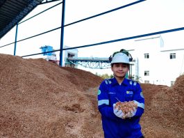 Produksi Energi Hijau PLN Nusantara Power Tembus 245 GWh di Kuartal I 2026, Lampaui Target 14,7%