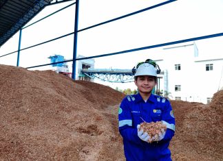 Produksi Energi Hijau PLN Nusantara Power Tembus 245 GWh di Kuartal I 2026, Lampaui Target 14,7%