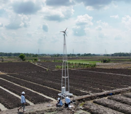 Raih Top 6 di AS, Terangin ITS menjadi Solusi Cerdas untuk Petani