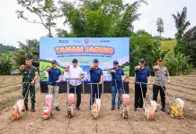 Pupuk Kaltim Perkuat Ketahanan Pangan dan Kesejahteraan Petani Lewat Program Agrosolution di Bone Bolango