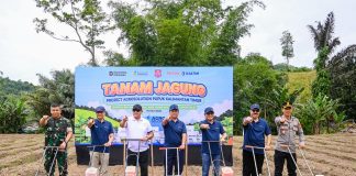 Pupuk Kaltim Perkuat Ketahanan Pangan dan Kesejahteraan Petani Lewat Program Agrosolution di Bone Bolango
