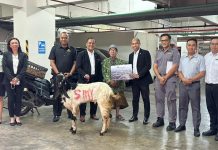 Swiss-Belinn Manyar Surabaya Sambut Idul Adha dengan Penyerahan Hewan Kurban kepada Masjid Al-Anwar Surabaya
