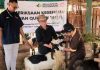 Perkuat Kepedulian Sosial, Solusi Bangun Indonesia Salurkan 24 Hewan Kurban di Kabupaten Tuban