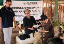 Perkuat Kepedulian Sosial, Solusi Bangun Indonesia Salurkan 24 Hewan Kurban di Kabupaten Tuban