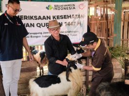 Perkuat Kepedulian Sosial, Solusi Bangun Indonesia Salurkan 24 Hewan Kurban di Kabupaten Tuban