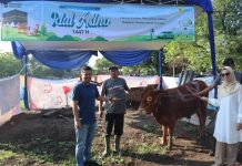 PLN UIT Jawa Bagian Timur dan Bali Tebar Senyum Idul Adha 1447 H, Salurkan Puluhan Hewan Kurban untuk Lebih dari 2.900 Penerima Manfaat