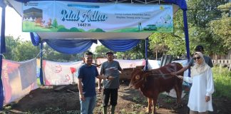 PLN UIT Jawa Bagian Timur dan Bali Tebar Senyum Idul Adha 1447 H, Salurkan Puluhan Hewan Kurban untuk Lebih dari 2.900 Penerima Manfaat
