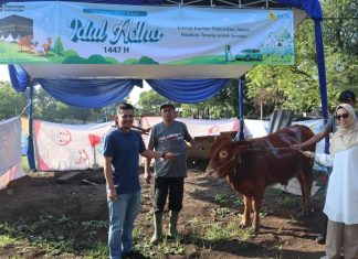 PLN UIT Jawa Bagian Timur dan Bali Tebar Senyum Idul Adha 1447 H, Salurkan Puluhan Hewan Kurban untuk Lebih dari 2.900 Penerima Manfaat