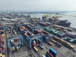 Pertumbuhan Arus Peti Kemas Internasional Tembus 11%, Sinyal Positif bagi Ekonomi Indonesia