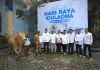 Pelindo Regional 3 Sub Regional Jawa Salurkan 127 Hewan Qurban Sambut Idul Adha 1447 H/2026 M