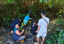 Penyaluran Panen Mangrove, TPS Dukung Penanaman 3.000 Bibit Mangrove di Sontoh Laut Surabaya