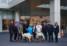 Melayani dengan Hati : Atria Hotel Malang Berbagi di Momen Idul Adha