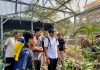 Peningkatan Kompetensi Gardener, Langkah Awal Pengayaan Diversitas Tumbuhan di PT Terminal Teluk Lamong