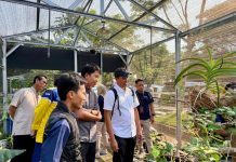 Peningkatan Kompetensi Gardener, Langkah Awal Pengayaan Diversitas Tumbuhan di PT Terminal Teluk Lamong
