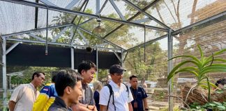 Peningkatan Kompetensi Gardener, Langkah Awal Pengayaan Diversitas Tumbuhan di PT Terminal Teluk Lamong
