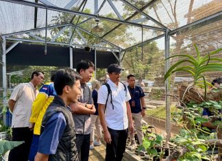 Peningkatan Kompetensi Gardener, Langkah Awal Pengayaan Diversitas Tumbuhan di PT Terminal Teluk Lamong