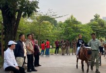 Joko Widodo Ajak Cucu-Cucu Berwisata Edukatif di Solo Safari, Isi Libur Sekolah