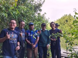 TPS Perluas Program Donasi Oksigen Melalui Penanaman Hasil Pembibitan Mangrove di Pesisir Gresik