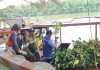 TPS Perluas Program “Donasi Oksigen” melalui Penanaman Mangrove di Pesisir Romokalisari Surabaya