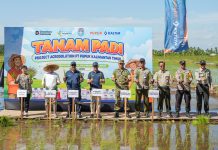 Pupuk Kaltim Gelar Tanam Padi Perdana Program Agrosolution di Kubu Raya, Dorong Produktivitas Padi