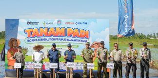 Pupuk Kaltim Gelar Tanam Padi Perdana Program Agrosolution di Kubu Raya, Dorong Produktivitas Padi