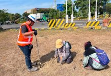 Komitmen Hijau Terminal Teluk Lamong, Kolaborasi Riset Ekologis Dengan BRIN Untuk Pengayaan Keanekaragaman Hayati