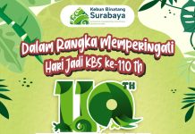 KBS Kedatangan Penghuni Baru, Kura-Kura Aldabra dari Jepang