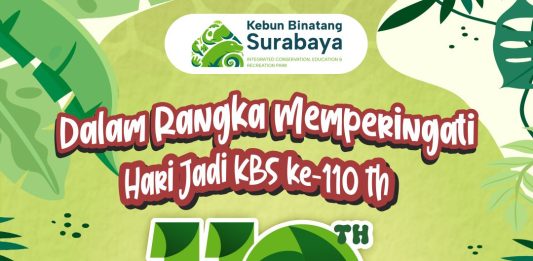 KBS Kedatangan Penghuni Baru, Kura-Kura Aldabra dari Jepang