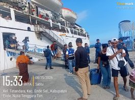 Pelabuhan Pelindo di NTT Berangsur Normal, Pemulihan Pelabuhan Maumere Dipercepat