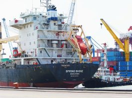 PT Terminal Teluk Lamong Perkuat Kapasitas TPK Nilam Melalui Penambahan E-RTG Ramah Lingkungan