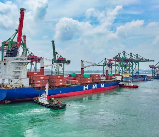 PT Terminal Teluk Lamong Terus Tumbuh, 3 Terminal Petikemas Catat Rekor Throughput Tertinggi Hingga Juli 2026