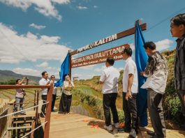 Pupuk Kaltim Resmikan Kampung Sawah Abadi di Bulutana Sulsel, Integrasikan Pertanian dan Agrowisata