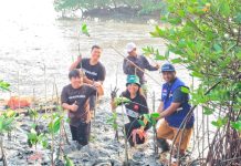 TPS Serahkan 3.000 Bibit Mangrove kepada Dinas Lingkungan Hidup Kota Surabaya untuk Penanaman di Tambak Sarioso