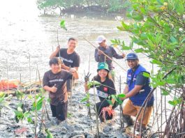 TPS Serahkan 3.000 Bibit Mangrove kepada Dinas Lingkungan Hidup Kota Surabaya untuk Penanaman di Tambak Sarioso