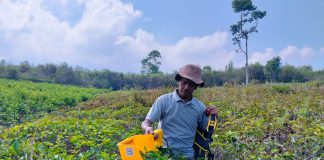 Teh Gambyong Kemuning Naik Kelas, Terima Kasih Pada Bank Indonesia Atas Pembinaannya