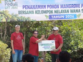 PLN UIT JBM Tanam 16.500 Bibit Mangrove di Bali, Perkuat Komitmen Pelestarian Ekosistem Pesisir
