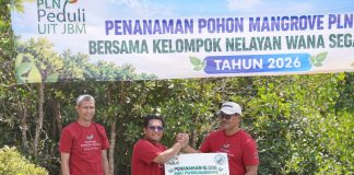 PLN UIT JBM Tanam 16.500 Bibit Mangrove di Bali, Perkuat Komitmen Pelestarian Ekosistem Pesisir