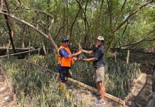TPS Konsisten Melakukan Pembibitan dan Penanaman Mangrove, Perkuat Komitmen Pelestarian Ekosistem Pesisir dan Lingkungan Pelabuhan