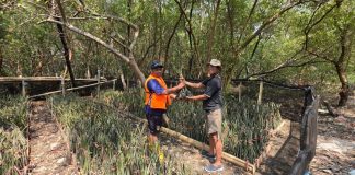 TPS Konsisten Melakukan Pembibitan dan Penanaman Mangrove, Perkuat Komitmen Pelestarian Ekosistem Pesisir dan Lingkungan Pelabuhan