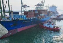 Lima Tahun Bersatu, Terminal Teluk Lamong Terus Tumbuh dan Bertransformasi Bersama Pelindo