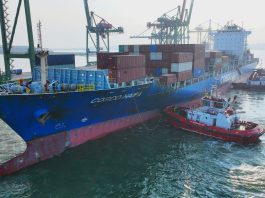 Lima Tahun Bersatu, Terminal Teluk Lamong Terus Tumbuh dan Bertransformasi Bersama Pelindo